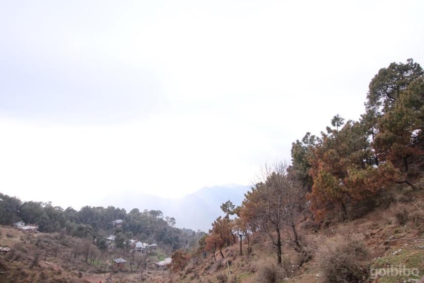 Dlx Stay In Naddi Dharamshala Buitenkant foto